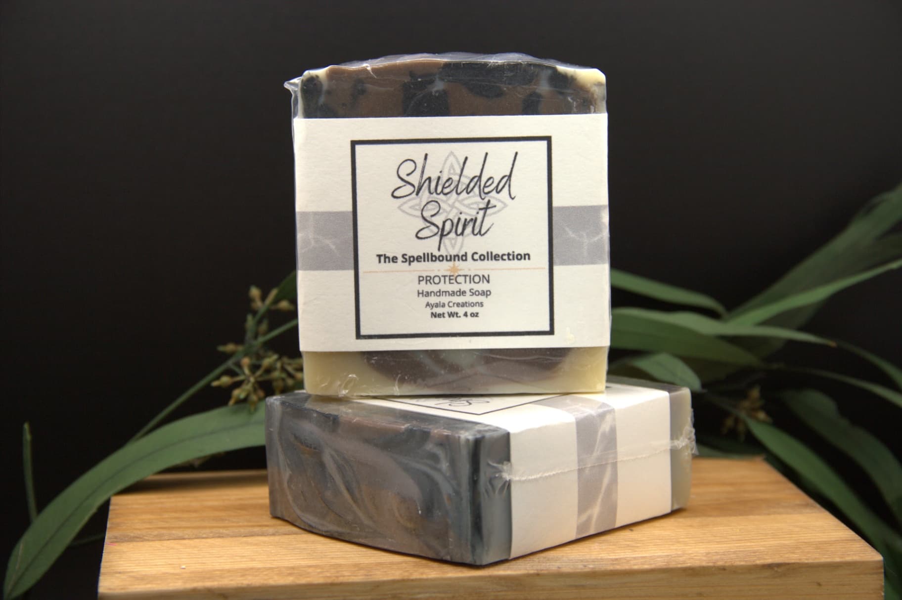 Shielded Spirit - image 1